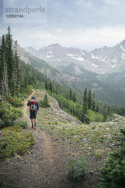 Wandernder Mann  Mount Sneffels  Ouray  Colorado  USA