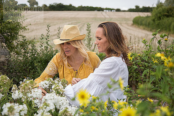 Frauen arbeiten im Garten auf dem Land