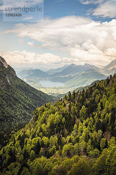Sonniger Tag  Französische Alpen  Parc naturel régional du Massif des Bauges  Chatelard-en-Bauges  Rhône-Alpes  Frankreich