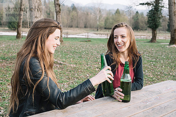 Freundinnen trinken Bier im Park