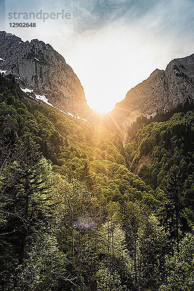 Sonniger Tag  Französische Alpen  Parc naturel régional du Massif des Bauges  Chatelard-en-Bauges  Rhône-Alpes  Frankreich