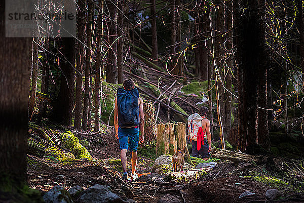 Bergsteiger und Hunde  die durch den Wald laufen  Squamish  Kanada