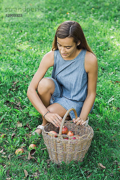 Frau pflückt Äpfel auf Gras