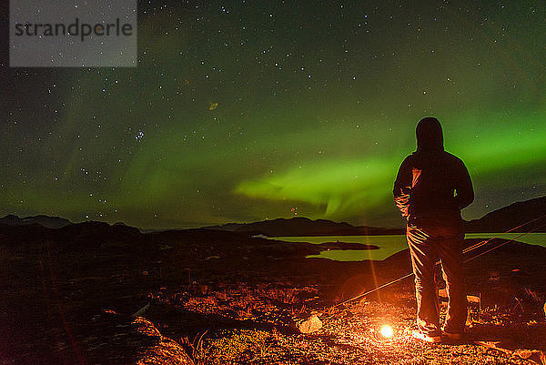 Mensch beobachtet Nordlicht  Narsaq  Vestgronland  Grönland
