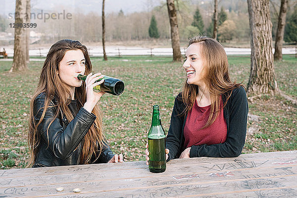 Freundinnen trinken Bier im Park
