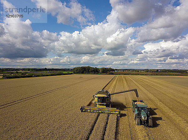Traktor und Mähdrescher ernten Weizenfeld  Ansicht von oben