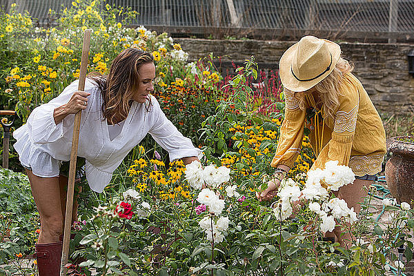 Frauen bei der Gartenarbeit