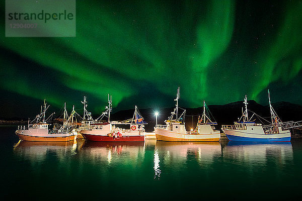 Vengsoy  traditionelle norwegische Fischerboote bei Nordlicht  Tromsø  Troms  Norwegen