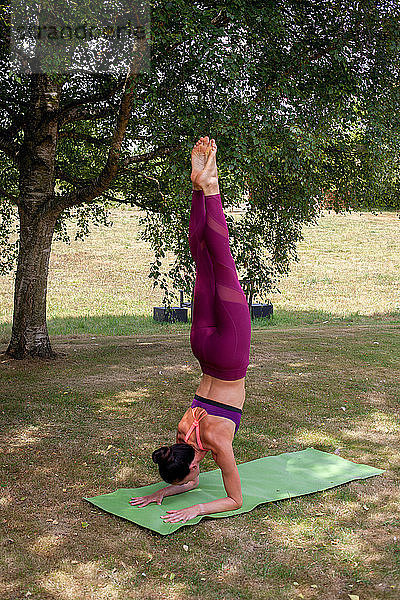 Im Garten Yoga praktizierende Frau  Unterarmstand