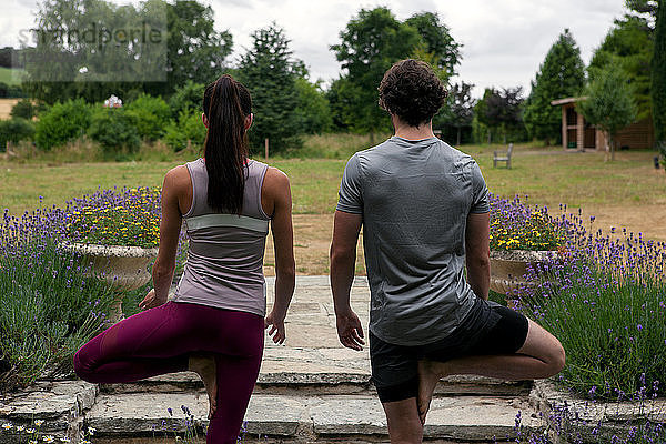 Yoga praktizierender Mann und Frau im Garten  Rückansicht der Baumstellung