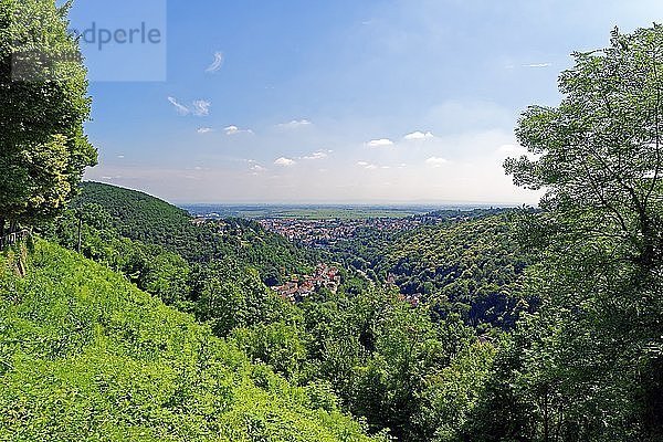 Bad Dürkheim  Rheinland Pfalz  Deutschland  Europa