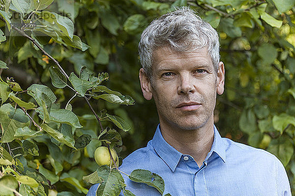 Portrait of mature man with grey hair in the garden