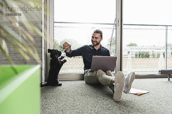 Young businessman with laptop sitting on the floor in office playing with dog