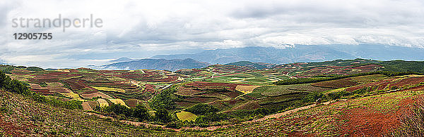 China  Yunnan province  Dongchuan  Red Land