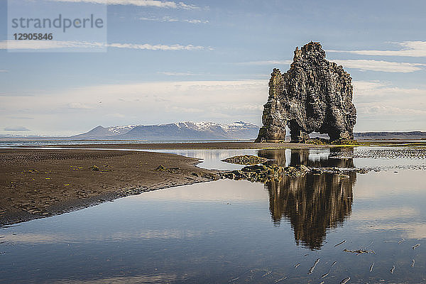 Iceland  Hvítserkur