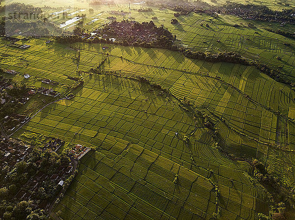 Indonesia  Bali  Kedungu  Aerial view