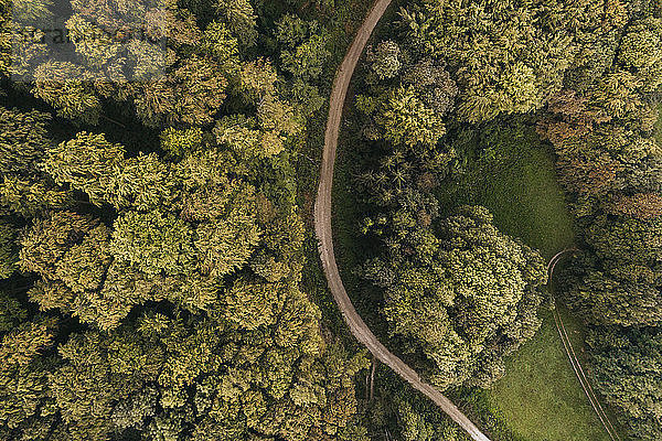 Austria  Lower Austria  Vienna Woods  Biosphere Reserve Vienna Woods  Aerial view of dirt road and forest in the early morning