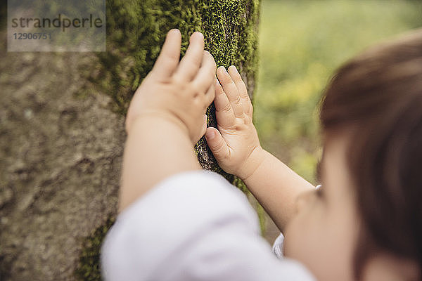 Toddler's hands feeling tree moss in park