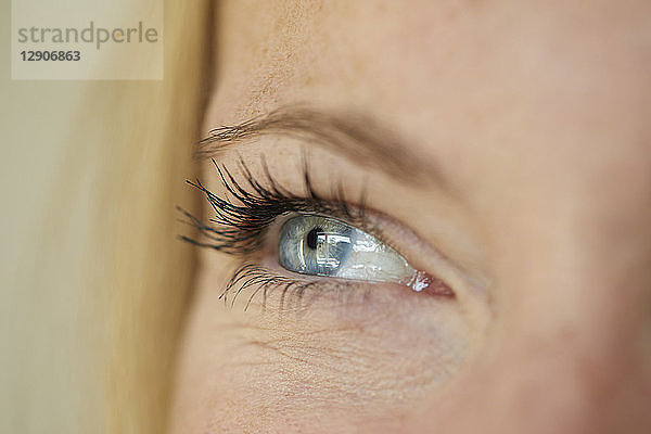 Close up of a woman's eye