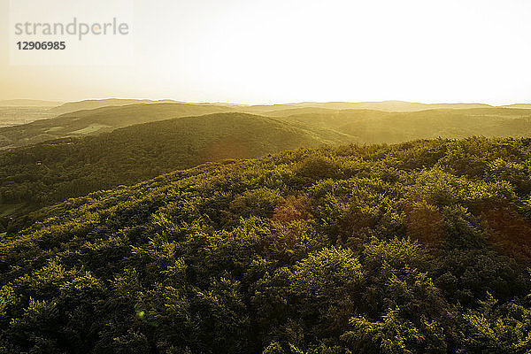 Austria  Lower Austria  Vienna Woods  Biosphere Reserve Vienna Woods  Aerial view of forest at sunrise