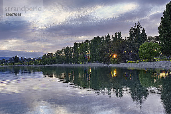 New Zealand  South Island  Shore of Lake Wanaka with sun shining through trees