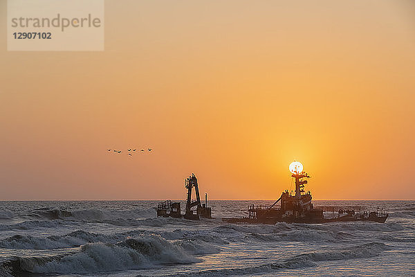 Namibia  Dorob National Park  Henties Bay  ship wreck of stranded Zeila  nesting site for cormorants