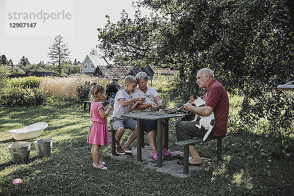 Grandparents spending time together with grandson and granddaughter in the garden