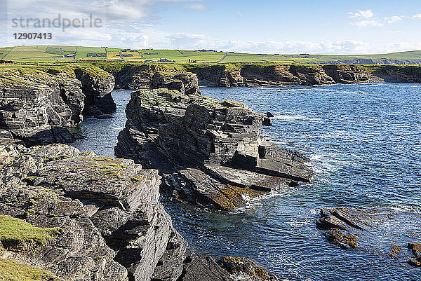 Great Britain  Scotland  Orkney Islands  Birsay  rocky cliffs on the north coast of Mainland