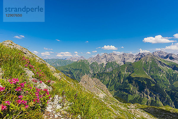 Germany  Bavaria  Allgaeu  Allgaeu Alps  panoramic view of Allgaeu main ridge from Krumbacher Hoehenweg