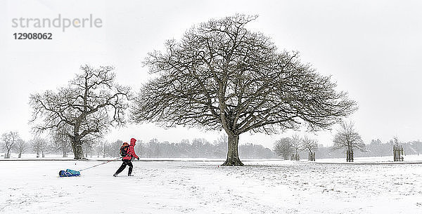 UK  woman pulling sled through snow-covered winter landscape