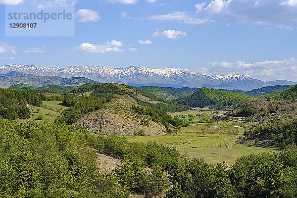 Albania  Qark Korca  Pindos mountains in the background