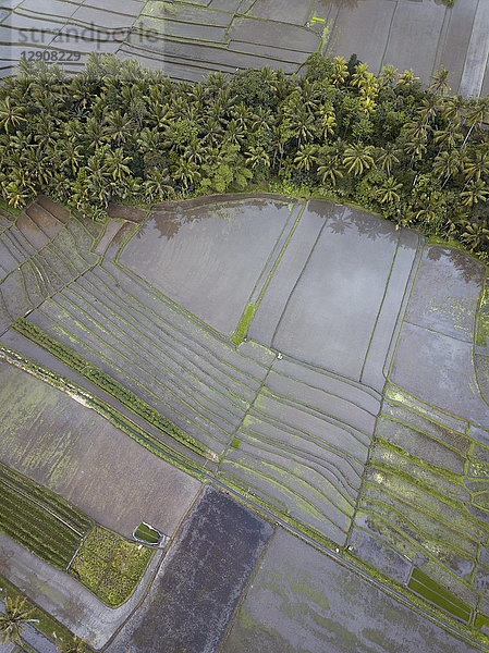 Indonesia  Bali  Aerial view of Bali island