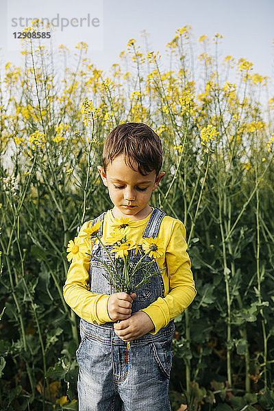 Portrait of little boy with picked flowers in nature