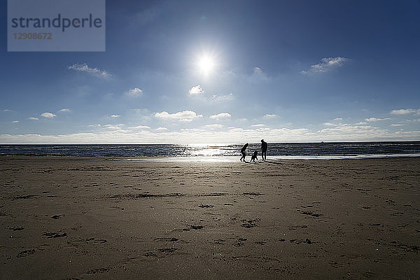 Young couple walking with their dog on the beach