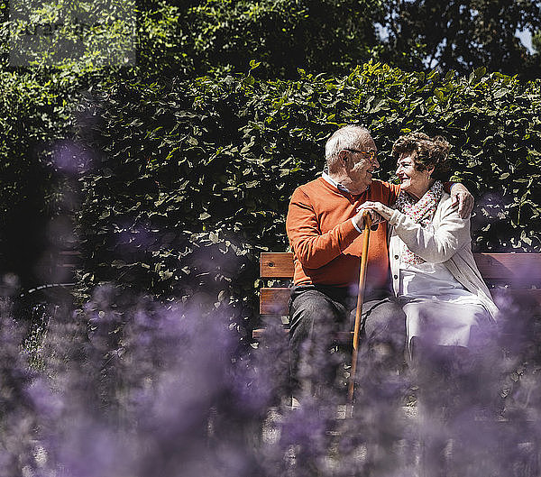 Senior couple sitting on bench in a park  falling in love