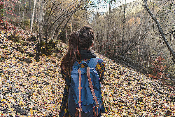 Spain  Ordesa y Monte Perdido National Park  back view of woman with backpack in autumnal forest