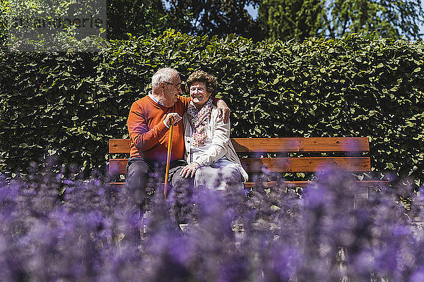 Senior couple sitting on bench in a park  falling in love