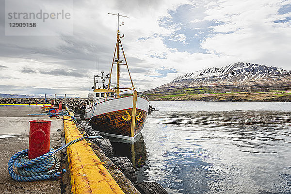Iceland  Hauganes  Whale watching ship at harbour