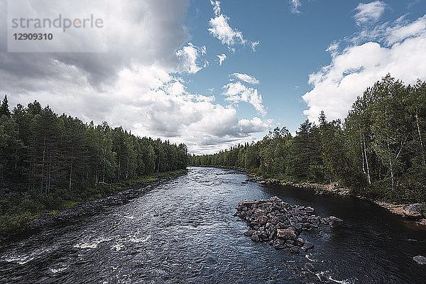 Finland  Vikakongas  Vaattunjoki river and forest