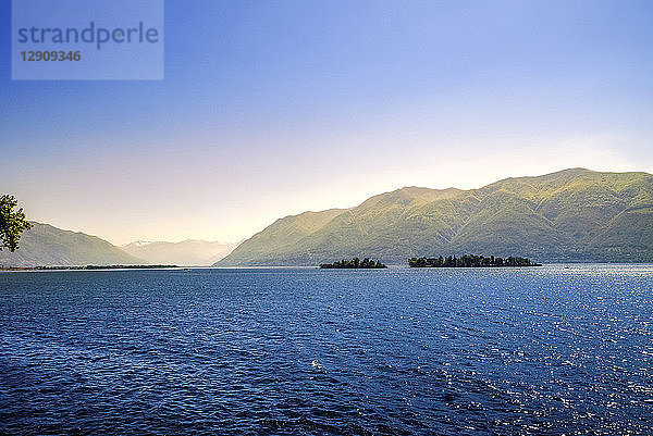Switzerland  Ticino  View on to Brissago Islands and Lago Maggiore