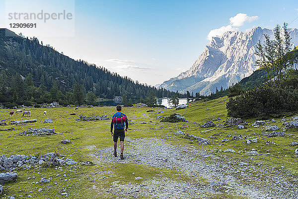 Austria  Tyrol  Hiker with backpack  hiking at Lake Seebensee