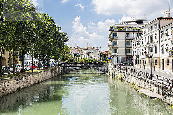 Italy  Veneto  Treviso  Sile river