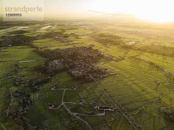 Indonesia  Bali  Kedungu  Aerial view