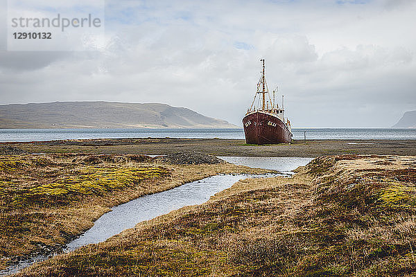 Iceland  Vestfiroir  ship wrack