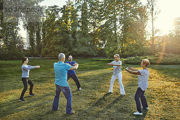 Group of people doing Tai chi in a park