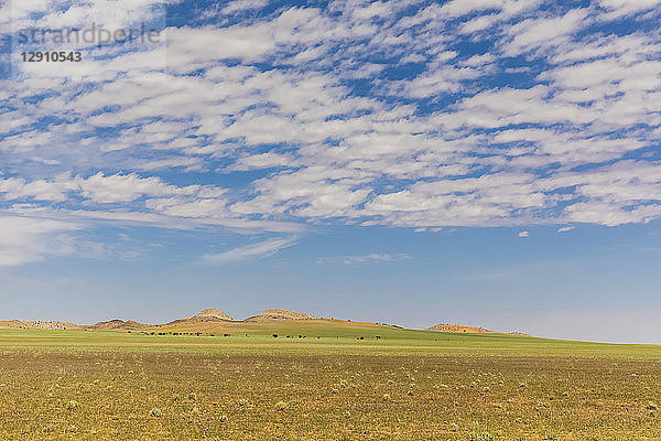 Africa  Namibia  Khomas region