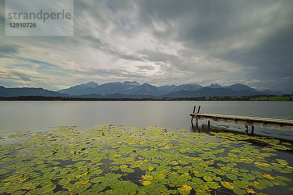 Germany  Bavaria  Allgaeu  Hopfen am See  Hopfensee with jetty and lily pads