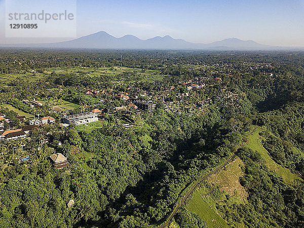 Indonesia  Bali  Ubud  Aerial view of path