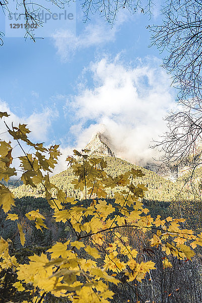 Spain  Ordesa y Monte Perdido National Park  autumn leaves