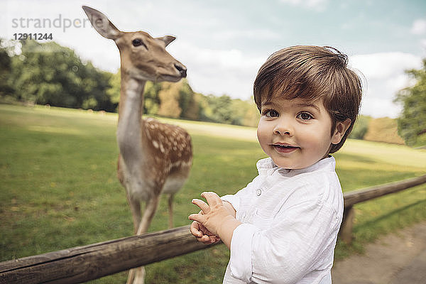 Portrait of happy toddler in a wild park with roe deer in the background